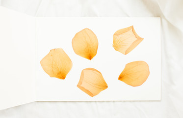 Dried  rose flowers on white notebook