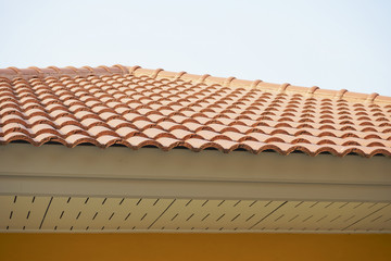 The roof of the house.