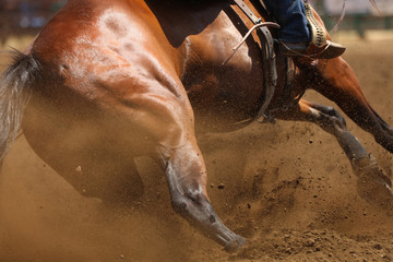 A close up photo of a horse sliding in the dirt showing mostly the hip.