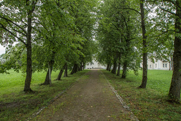 Obraz premium The trail passes through avenue