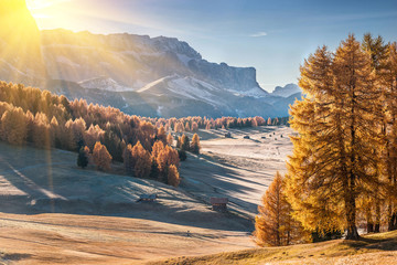 Mountan in Alpe di Siusi