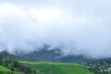 Misty landscape, Thailand