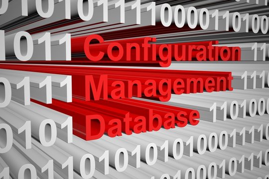 The Configuration management database in the form of binary code, 3D illustration