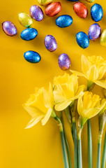 yellow narcissus and chocolate eggs