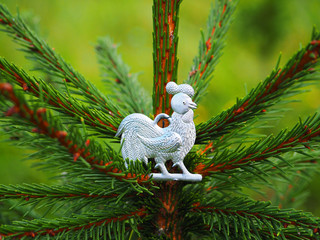 year of rooster, new Year, cock on the tree