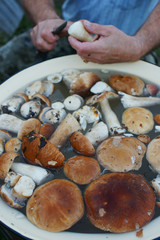 Мужчина моет белые грибы, собранные в лесу
