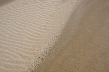 Fototapeta na wymiar Mini-Winddünen auf einem flachen, sandgefüllten Priel