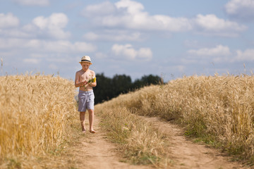 Naklejka na ściany i meble Cute kid boy in straw hat walking along countryside road and holding bunch of wild flowers on sunny summer day. Barefooted Child in the golden wheat field. Lifestyle concept