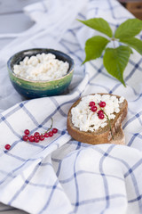 Organic Farming Cottage cheese in a green bowl, slice of whole wheat bread with Homemade Ricotta cheese served with red currant on wooden board  on linen fabric