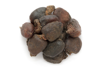 Organic dry Bhilawa (Semecarpus anacardium) seeds isolated on white background. Macro close up. Top view.