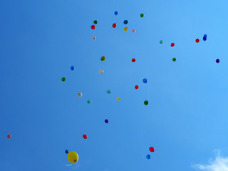 Multi colored balloons on a background of the sky