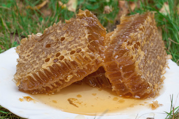 Fresh honey with honeycomb