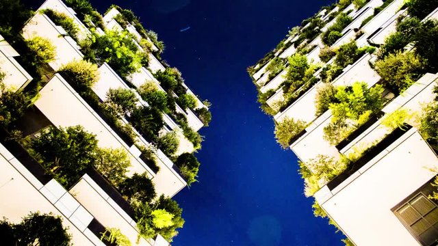 Bosco verticale 