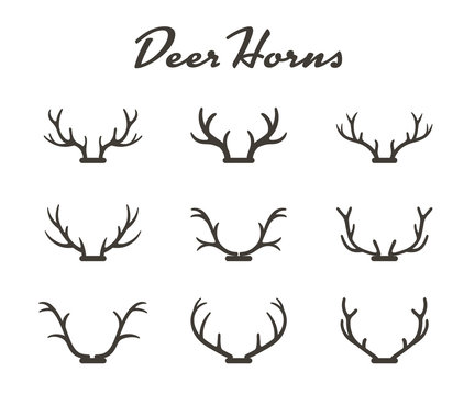 Vintage silhouettes of different deer horns, vector