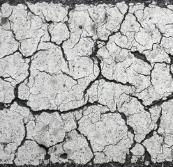 Grunge concrete cement wall
