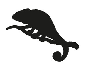 Chameleon. Vector drawing © Marina