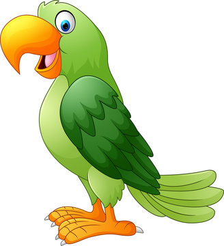 Cartoon Parrot Images – Browse 46,229 Stock Photos, Vectors, and Video |  Adobe Stock