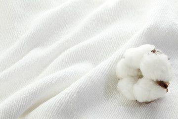 コットンイメージ/コットンのタオルの上の綿花