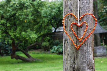 Florist at work: how to make heart shape decoration with rowan b