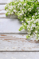 White lilac on wooden background