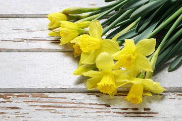 Beautiful yellow daffodils on white wooden table.