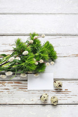 Green carnation flowers and catkins on white wooden background