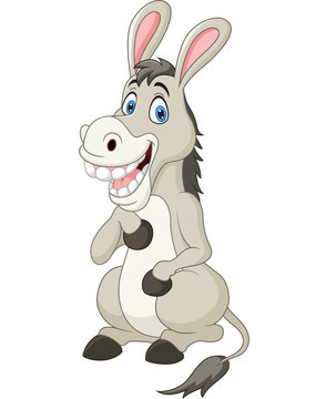 Cartoon funny donkey mascot