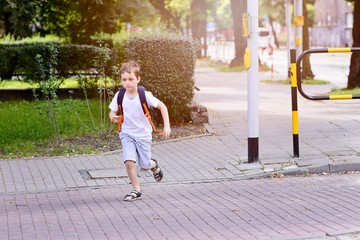 Little 7 years schoolboy waiting for green light.