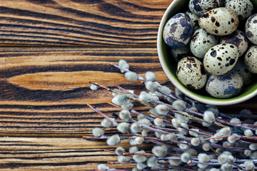 Quail eggs in a bowl with willow branches on wooden background.