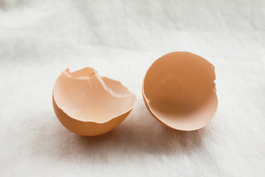 Eggshell