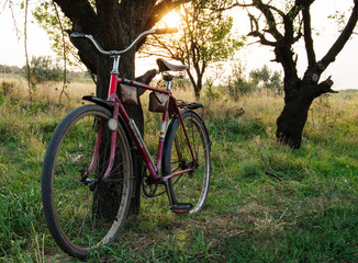 bike. Nature. Retro. Sunset in the field