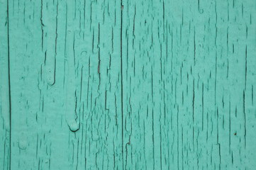 Obraz premium painted green board