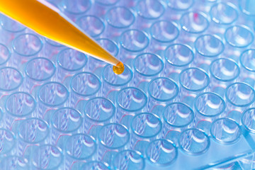 Pipette and 96 well plate