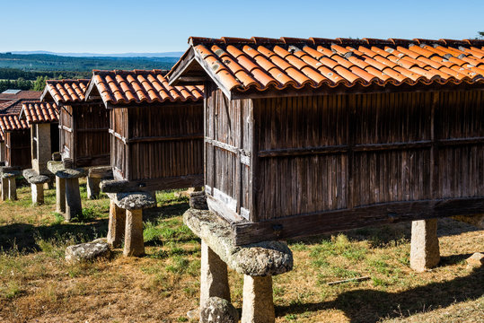 Horreos (granaries) of A Merca, the highest concentration of horreos in Galicia (Spain)