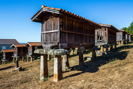 Horreos (granaries) of A Merca, the highest concentration of horreos in Galicia (Spain)