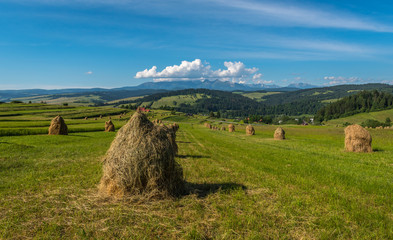 Sianokosy
