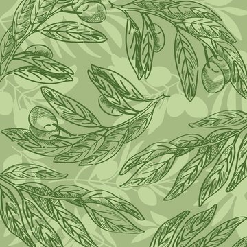 Green olive branches background.