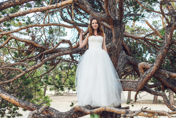 Wedding photo shooting. Bride siting on the tree.