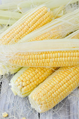 Yellow colourful corn