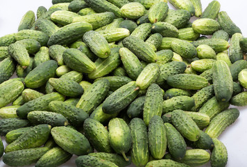 a lot of young cucumbers as background