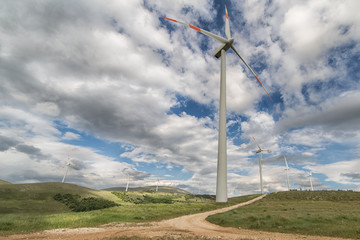 Panorama del Campo Eolico