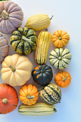 Squashes and pumpkins