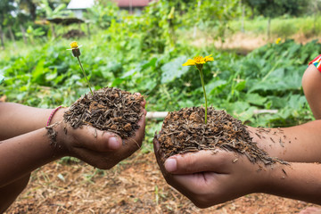 Children flowers plant.