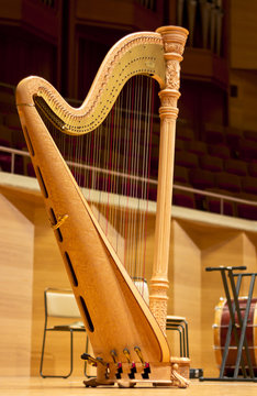Harp in a large concert hall. Musical instrument.The concert harp
