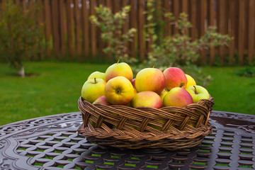 Apples in a wicker basket. Selective focus