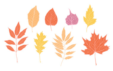 Hand drawn vector illustrations. Set of fall leaves. Forest design