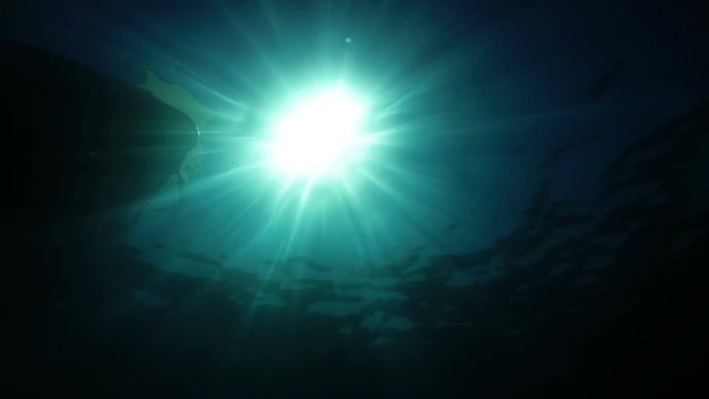 Sunbeams Breaking Through Underwater