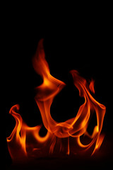 Fire flames on a black background