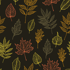 Hand drawn vector illustration. Seamless pattern with fall leaves