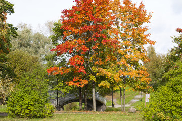 Fototapeta premium Old bridge in autumn, Petrozavodsk, Karelia, Russia